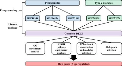 Identification of Shared Genes and Pathways in Periodontitis and Type 2 Diabetes by Bioinformatics Analysis